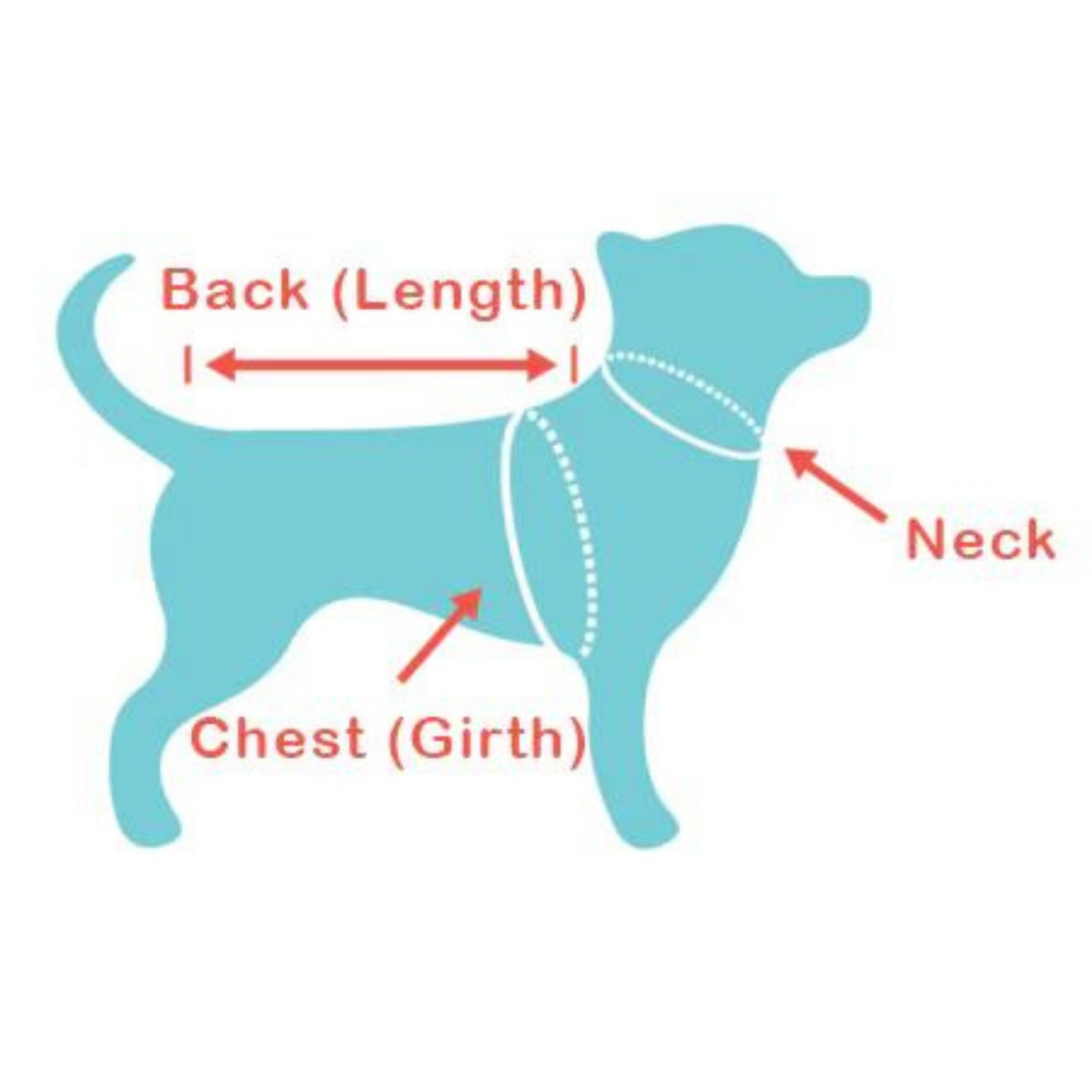 Adjustable Pet Harness & Leash Set