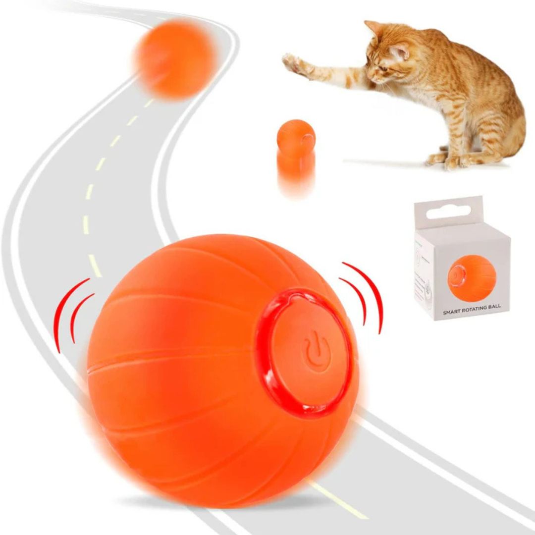 Pet Smart Bouncing Ball