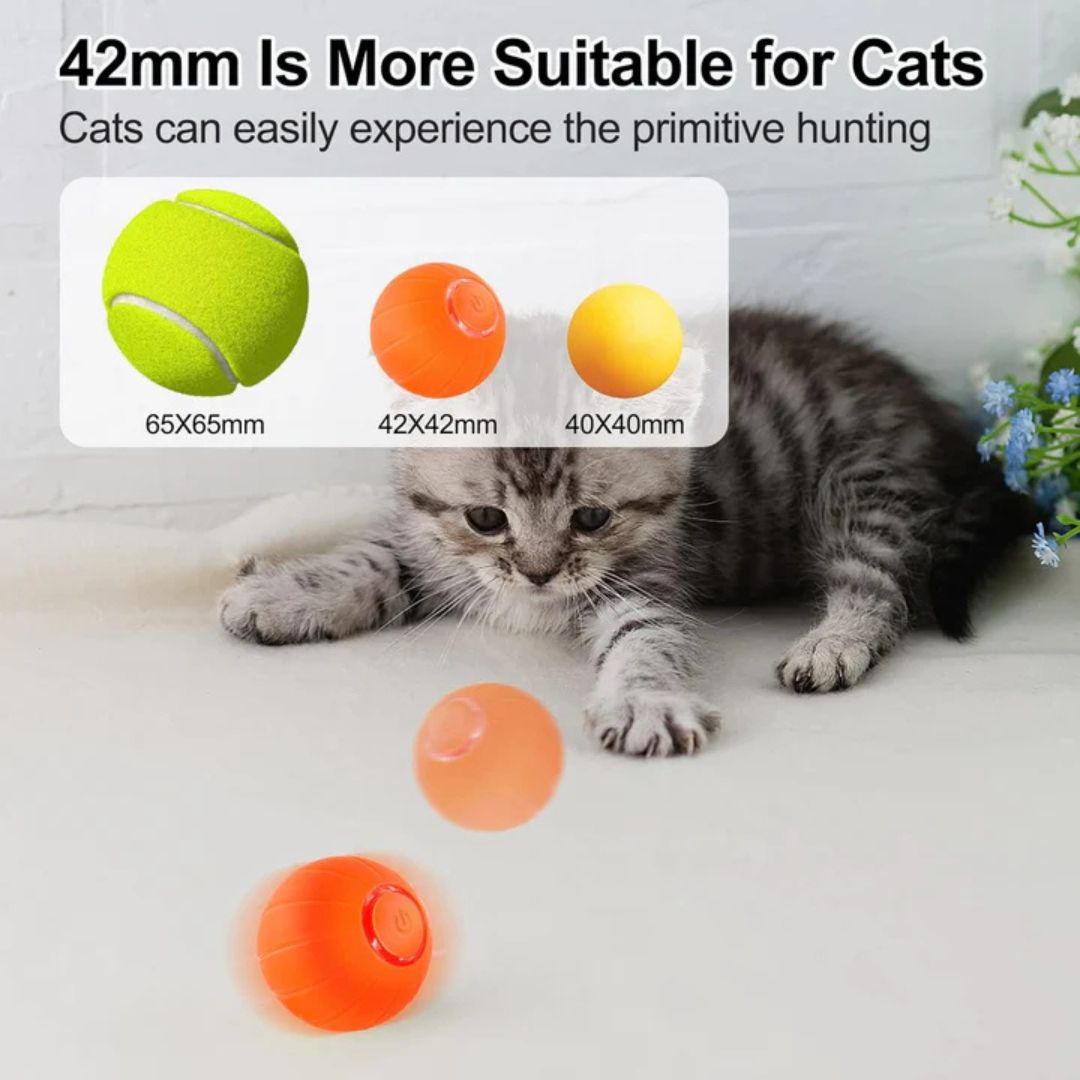 Pet Smart Bouncing Ball