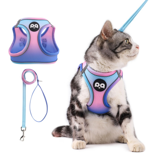Adjustable Pet Harness & Leash Set