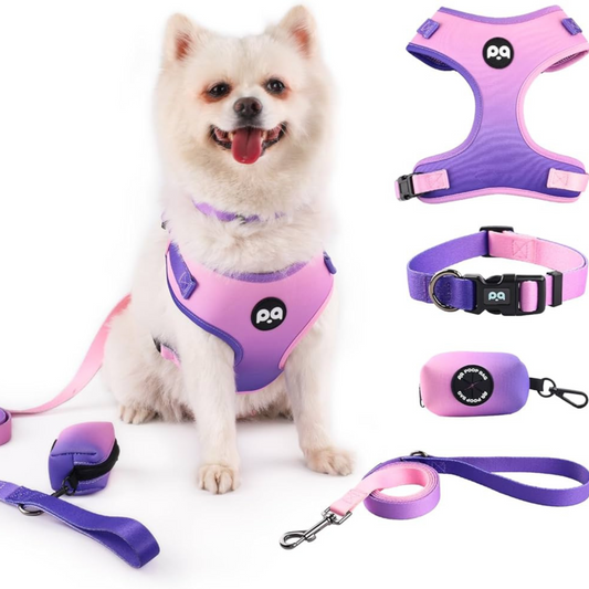 Adjustable Pet Harness & Leash Set