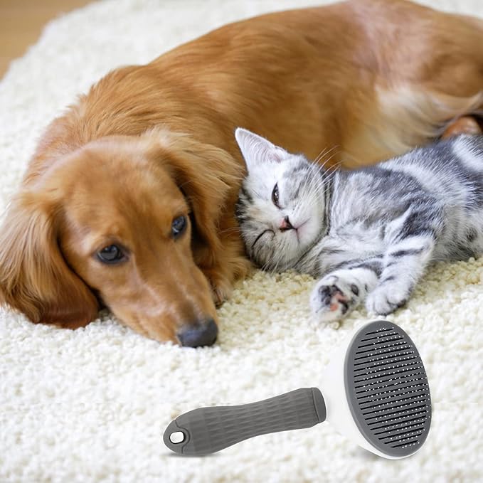 Push Button Pet Cleaning Grooming Brush