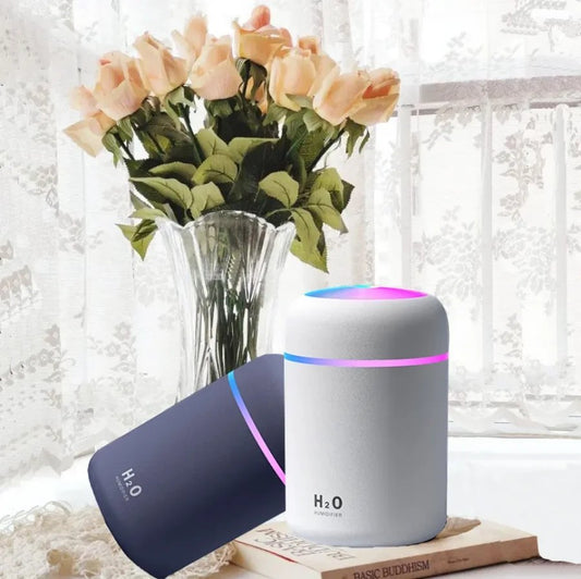 H2O Ultrasonic Humidifier